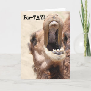 Grappig Camel Card, PAR-TAY zoals je verjaardag! Kaart