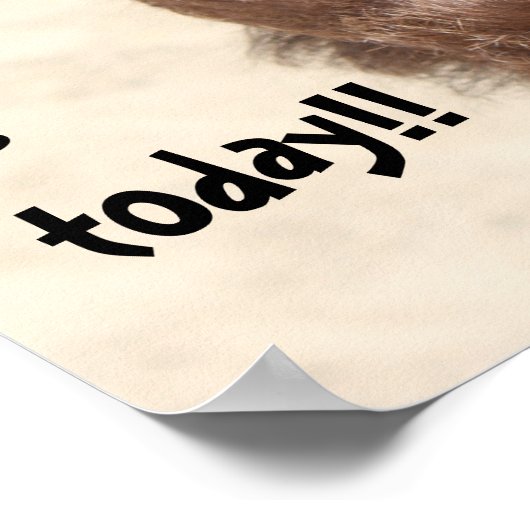 Grappig Camel "hump day" Raad eens welke dag het i Poster (Hoek)