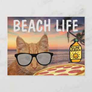 GRAPPIG CAT BEACH LIFE BRIEFKAART