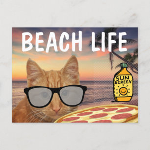 GRAPPIG CAT BEACH PIZZA BRIEFKAART