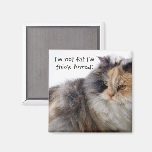 Grappig Cat is niet vet! Dick Fured Magneet (Voorkant / Achterkant)