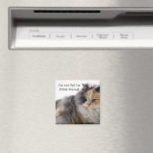Grappig Cat is niet vet! Dick Fured Magneet (Insitu (Vaatwasser))