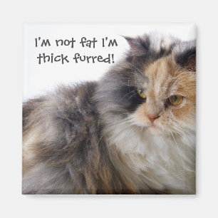 Grappig Cat is niet vet! Dick Fured Magneet