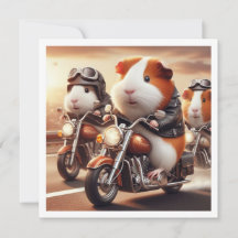 Grappig cavia uitnodiging, cavia verjaardag