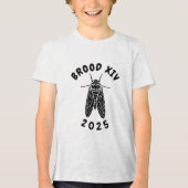 Grappig Cicada Brood XIV 2025 Natuur Bug Lover Tri-Blend Shirt (Voorkant)