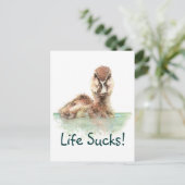 Grappig citaat, het leven zuigt, boze eend, vogelv briefkaart (Staand voorkant)