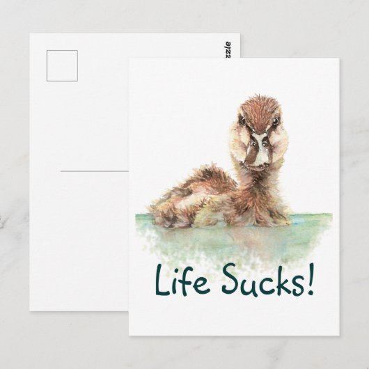 Grappig citaat, het leven zuigt, boze eend, vogelv briefkaart (Voorkant / Achterkant)