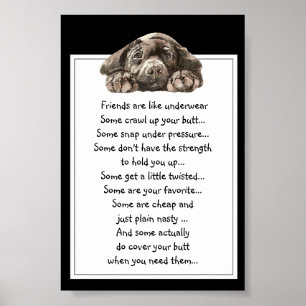 Grappig citaat over vrienden is als ondergoed poster