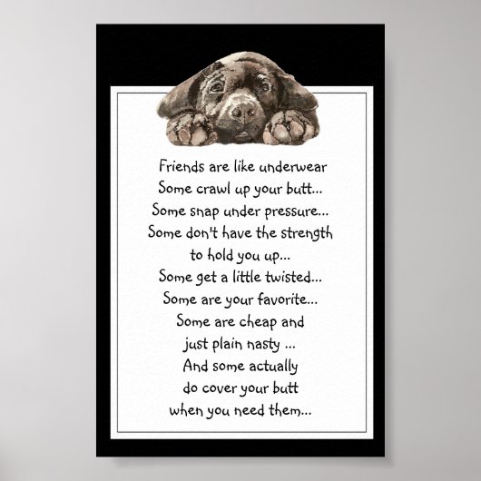 Grappig citaat over vrienden is als ondergoed poster (Voorkant)