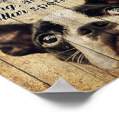 Grappig citeert over het Cadeau van Boston Terrier Poster (Hoek)