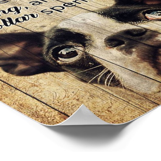 Grappig citeert over het Cadeau van Boston Terrier Poster (Hoek)