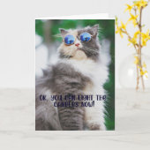 Grappig Cool Cat Verjaardag Wenskaart Kaart (Gele Bloem)