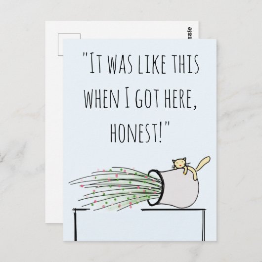 Grappig Cute Cat dat alles over het hoofd weet Briefkaart (Voorkant / Achterkant)