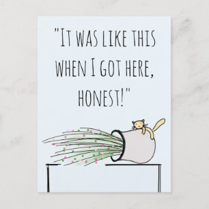 Grappig Cute Cat dat alles over het hoofd weet Briefkaart