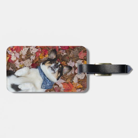 Grappig, Cute, Corgi Kijk Bagagelabel (Achterkant horizontaal)