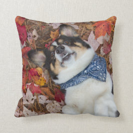 Grappig, Cute, Corgi Kijk Kussen