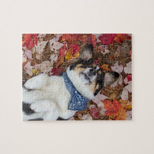 Grappig, Cute, Corgi Kijk Legpuzzel (Horizontaal)