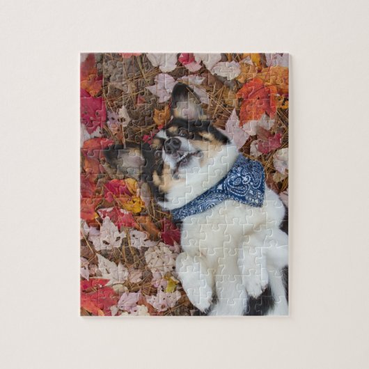Grappig, Cute, Corgi Kijk Legpuzzel (Verticaal)