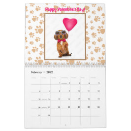Grappig Dachshund Foto's Aangepast tekstgeluid Kalender