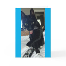 grappig dank u kaarden DA van de verre Moeder van