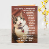 Grappig dat de geboorte van een kat naar een tiene kaart (Gele Bloem)