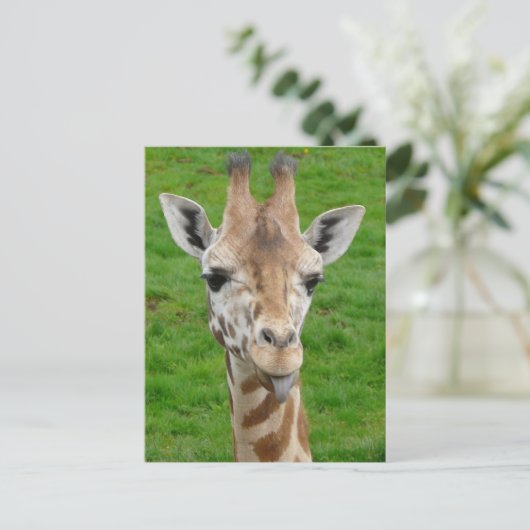 Grappig dat Giraffe Tongue eruit trekt. Briefkaart (Staand voorkant)