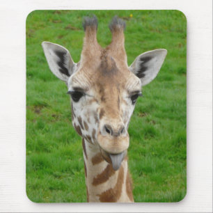 Grappig dat Giraffe Tongue eruit trekt. Muismat