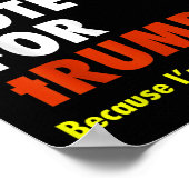 Grappig dat ik ' heb gestemd; t Stem op Trump T Poster (Hoek)