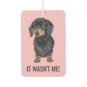 Grappig dat ik het niet was, een hond met een teck luchtverfrisser