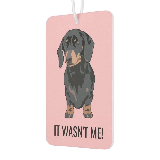 Grappig dat ik het niet was, een hond met een teck luchtverfrisser (Links)