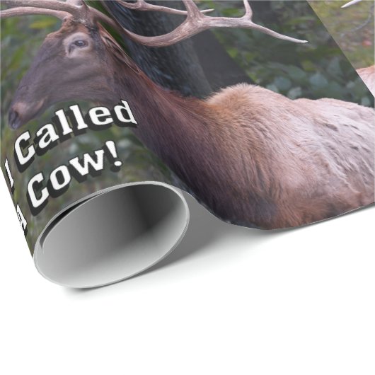 Grappig dat ik niet kan geloven dat ze kwaad werd cadeaupapier (Rol Hoek)