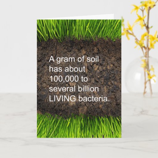 Grappig dat je net zo oud bent als vuil met feiten kaart (Gele Bloem)