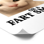Grappig dat je ofwel een slimme kerel of een schee poster (Hoek)