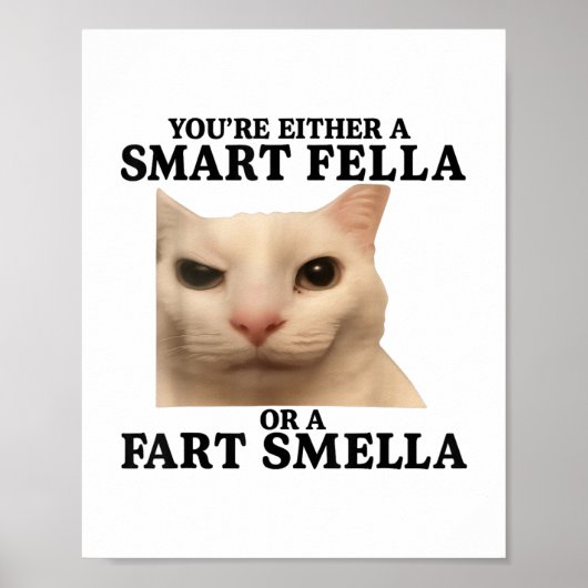 Grappig dat je ofwel een slimme kerel of een schee poster (Voorkant)