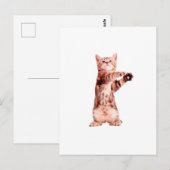 Grappig dat je speelse kitten hebt briefkaart (Voorkant / Achterkant)