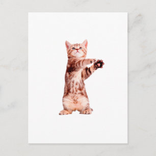Grappig dat je speelse kitten hebt briefkaart