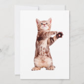 Grappig dat je speelse kitten hebt kaart (Achterkant)