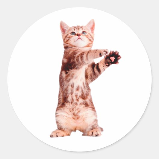 Grappig dat je speelse kitten hebt ronde sticker (Voorkant)