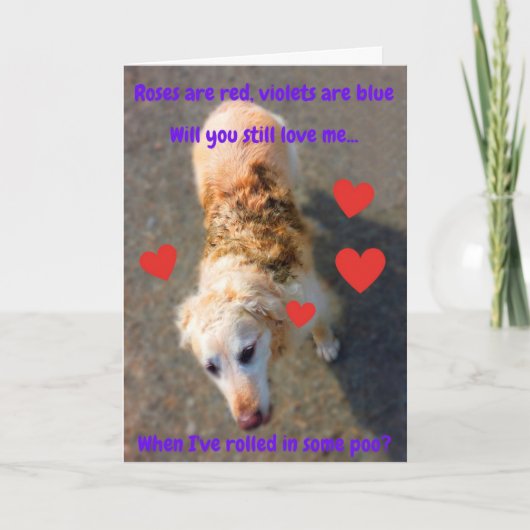 Grappig dat Valentijn Dog... Kaart (Voorkant)
