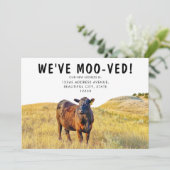 Grappig dat we de Koe Moving Annoucement hebben. Aankondiging (Staand voorkant)