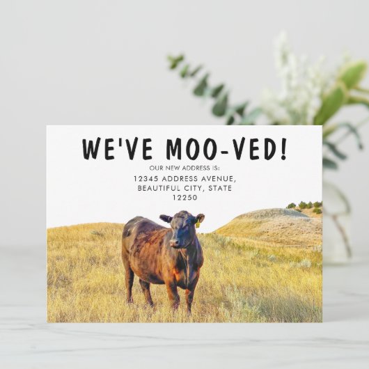 Grappig dat we de Koe Moving Annoucement hebben. Aankondiging (Staand voorkant)