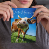 Grappig dat we de Koe van de aankondiging van de a