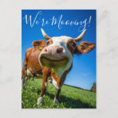 Grappig dat we de Koe van de aankondiging van de a (Voorkant)