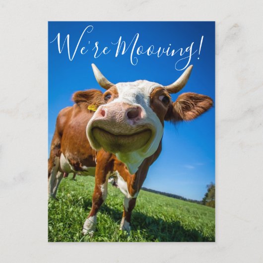 Grappig dat we de Koe van de aankondiging van de a (Voorkant)