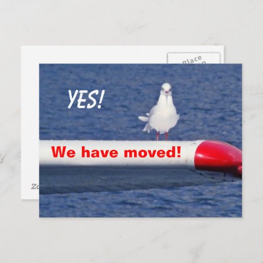 Grappig dat we het Briefkaart van vogels hebben ve (Voorkant / Achterkant)