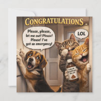Grappig de grap hond en kat felicitaties lezen