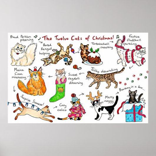 Grappig de twaalf kerstkatten poster (Voorkant)