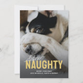 Grappig Definieer Naughty Pet Christmas Feestdagenkaart (Voorkant)