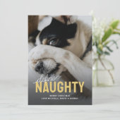 Grappig Definieer Naughty Pet Christmas Feestdagenkaart (Staand voorkant)