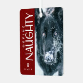 Grappig Definieer Naughty Pet Foto Keepsake Gift Metalen Ornament (Voorkant links)